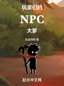 玩家们的npc大爹小说下载