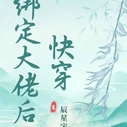 快穿：绑定大佬后By{author}