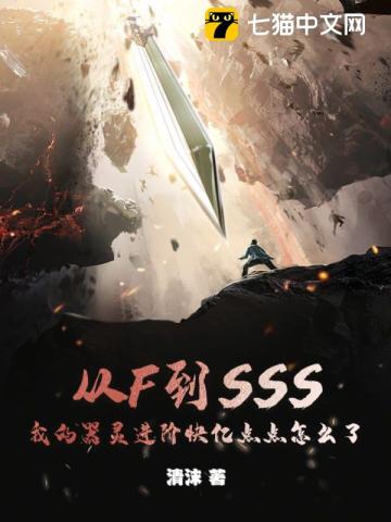 从F到SSS，我的器灵进阶快亿点点怎么了By{author}