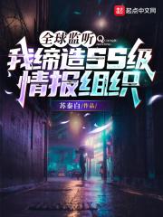 全球监听:我缔造ss级情报组织无防盗