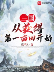 从三国开始称霸